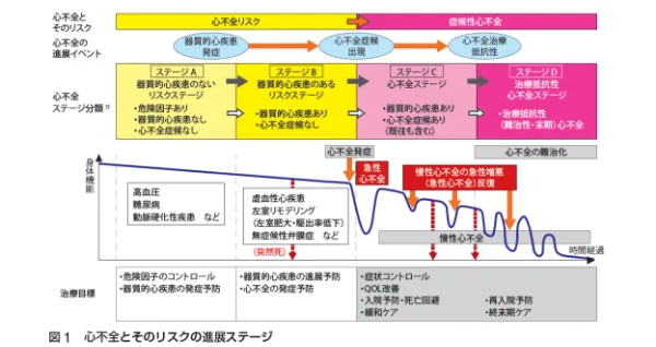 心不全とそのリスクの進展ステージを示す図。ステージAからステージDまでの身体機能の低下と、各段階の治療目標