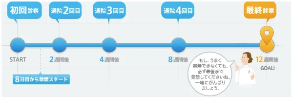 禁煙治療の流れを示す図。初回診察から2週間後・4週間後・8週間後の通院を経て12週間後の最終診察まで全5回